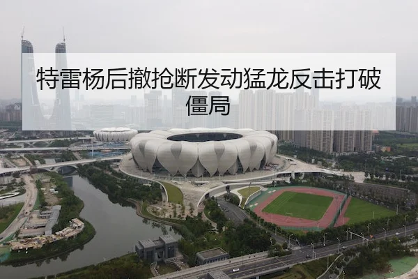 特雷杨后撤抢断发动猛龙反击打破僵局